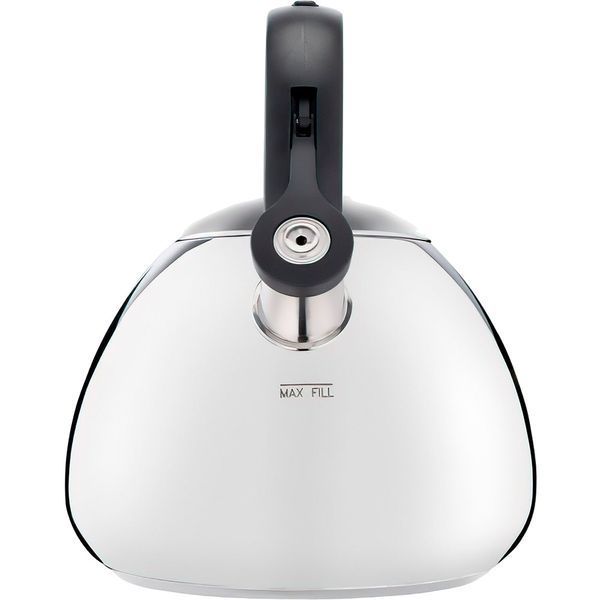 Чайник Tefal K2481574 33501 фото